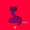 Mathpill999 Bruno Le o damatarecords - Snake