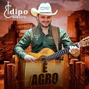 dipo Ribeiro - Agro