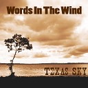 Texas Sky - Ballad of the Blue Rose