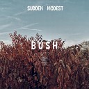 sudden modest - Bush
