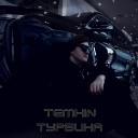 ТEMKIN - Турбина
