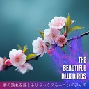 The Beautiful Bluebirds - First Kiss of Spring
