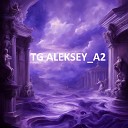 ALY A2 - Tg Aleksey A2