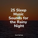 Sleep Songs with Nature Sounds Tranquil Music Sound of Nature Cascada de… - Drops in the Water
