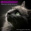 The Energy of Love Formation - The Subtle Art of Mogology Pt 2