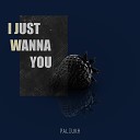Paliukh - I Just Wanna You