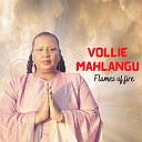 Vollie Mahlangu - Mdali We Zulu No Mhlaba