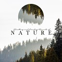 Natural Therapy Music Academy - Wind in the Mountains