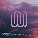 Blewbird feat DT James - Under the Covers