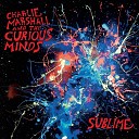 Charlie Marshall The Curious Minds - Newton