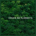 M sica Com Sons da Natureza de IMG Library - Chuva na Floresta P25