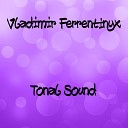 Vladimir Ferrentinyx - Tonal Sound Radio Edit