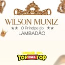 WILSON MUNIZ LAMBAD O 100 TOP DAS TOP - Lambada da Galinha
