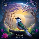 40Hz Binaural Beats - Accompanied by Birds Singing Pt 8