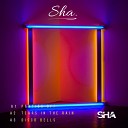 SHA feat Stevie C - Manhoar
