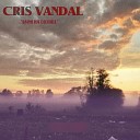 Cris Vandal - Бури на солнце