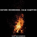 Sleep Rain Memories - Evening Campfire Sound