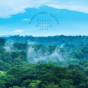 Nature Sounds Playlist 2022 - The Forest Birds