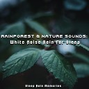 Sleep Rain Memories - Peaceful Forest Life