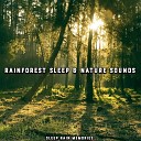 Sleep Rain Memories - Evening Jungle Ambience with Heavy Insects