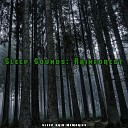 Sleep Rain Memories - Forest Audio