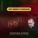 Zaigham Ahsan - Hai Abide Beemar