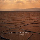 Joshua Nichols - Everyday Stripped
