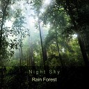 Night Sky - Rain Forest