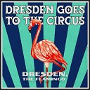 Dresden The Flamingo - Cotton Candy Sandy