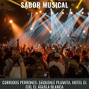 Sabor Musical - Corridos Perrones S quenle Plumita Hotel el Cid el guila…