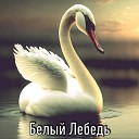 Белый Лебедь - Фиалка