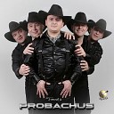 Formatia ProBachus - Au bani i muzican ii