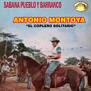 Antonio Montoya - Garceros de la monta a
