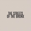 Borja Valls - The Streets of the Bronx