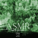 Deep Sleep Hypnosis Masters - ASMR Wild Nature Beach Ambience
