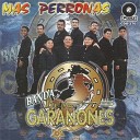 Banda Los Gara ones - El Huizache