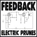 The Electric Prunes - Itzomad