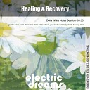 Electric Dreams - Healing and Recovery Delta White Noise…