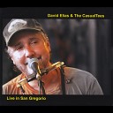 David Elias The CasualTees - Hummingbird Live