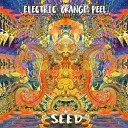 Electric Orange Peel - Sir Heady Nelson and the Four Seasons