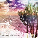 Electric Bird Noise - Welcome to Static Beach