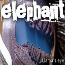 Elephant - Koan III