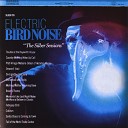Electric Bird Noise - February 23rd
