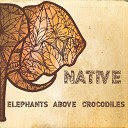 Elephant Above Crocodiles - Journey