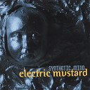 electric mustard - Eclectic Rainbow