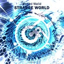 Ahmed Walid - Strange World