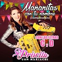 Priscila con Mariachi - Ma anitas para Dulce Maria