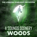 London Starlight Orchestra - Something