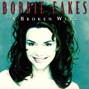 Bobbie Eakes - A Broken Wing