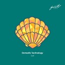 Domestic Technology - Lol Seaman Remix